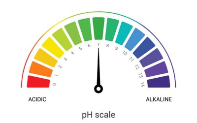 The Importance of pH Levels in Commercial Cleaning