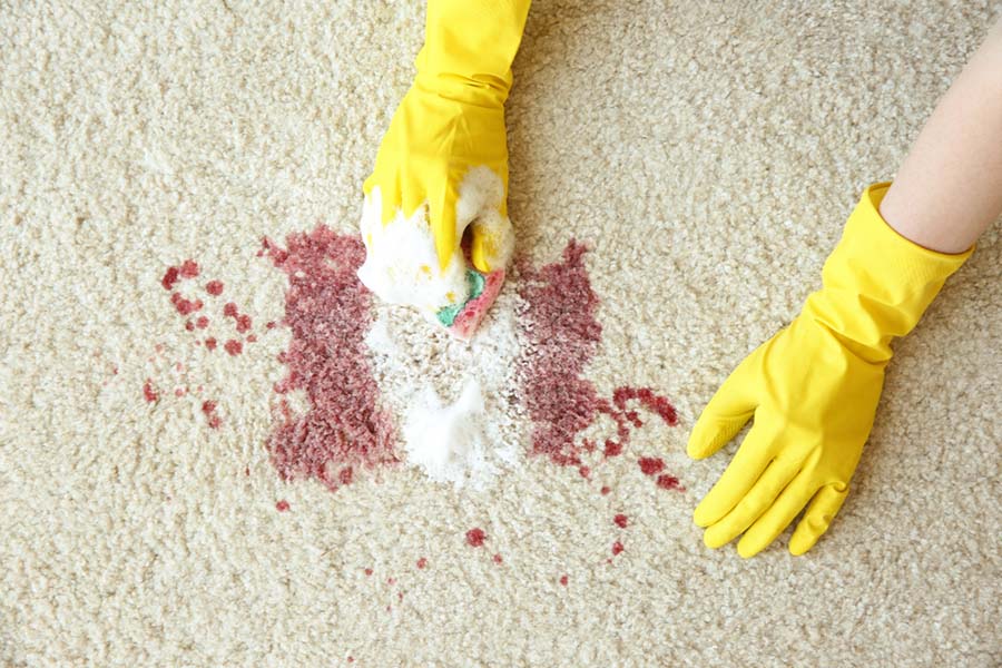A person scrubbing a blood stained carpet with cleaning products